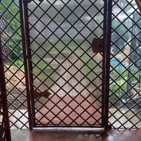 Кованые перила и ограждения